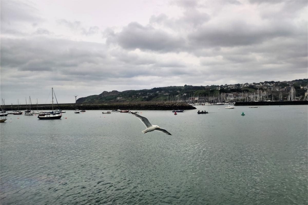 Від нічних вогнів Темпл-бару до "полювання" на оленів: чим вражає ірландський Дублін 88 Від нічних вогнів Темпл-бару до "полювання" на оленів: чим вражає ірландський Дублін