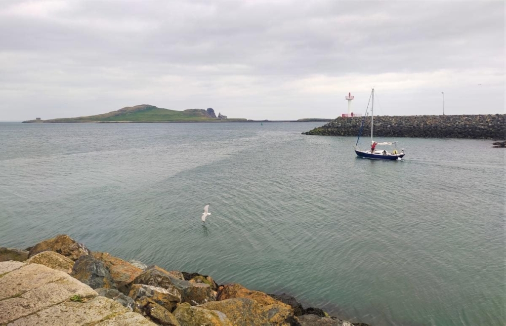 Від нічних вогнів Темпл-бару до "полювання" на оленів: чим вражає ірландський Дублін 87 Від нічних вогнів Темпл-бару до "полювання" на оленів: чим вражає ірландський Дублін