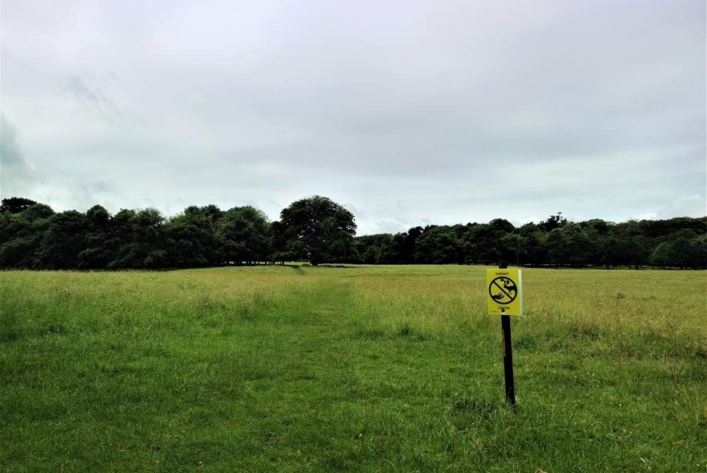 Від нічних вогнів Темпл-бару до "полювання" на оленів: чим вражає ірландський Дублін 76 Від нічних вогнів Темпл-бару до "полювання" на оленів: чим вражає ірландський Дублін