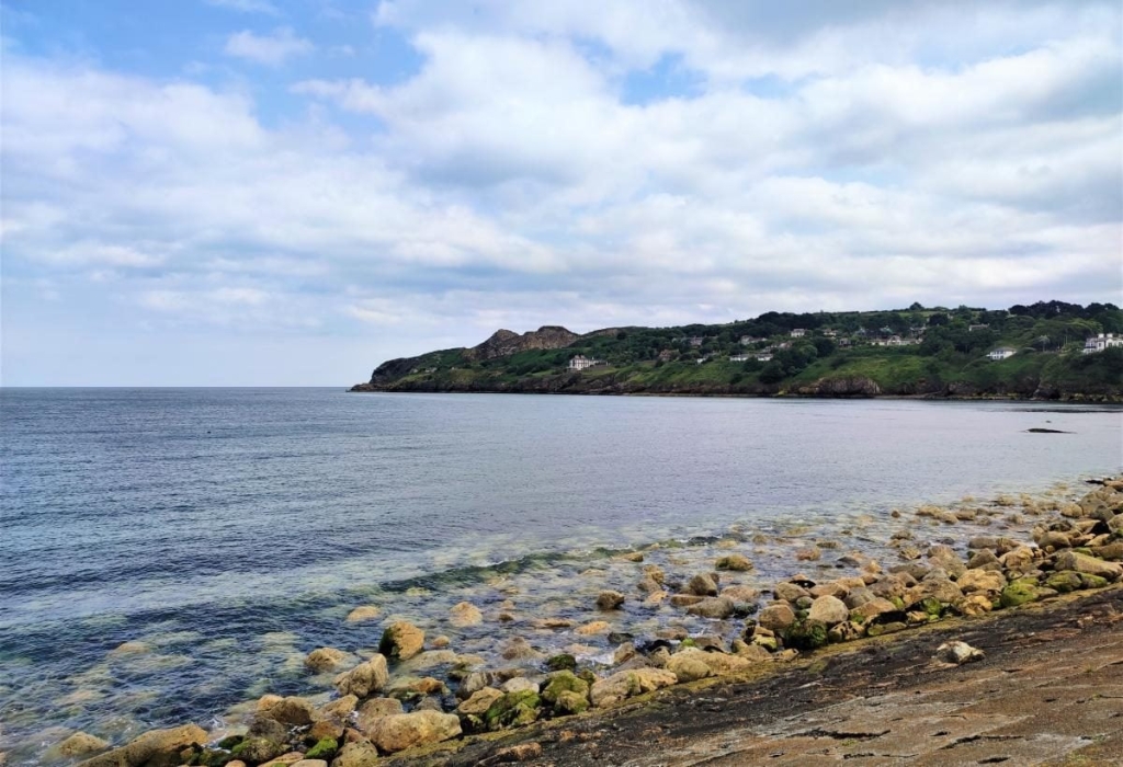 Від нічних вогнів Темпл-бару до "полювання" на оленів: чим вражає ірландський Дублін 96 Від нічних вогнів Темпл-бару до "полювання" на оленів: чим вражає ірландський Дублін