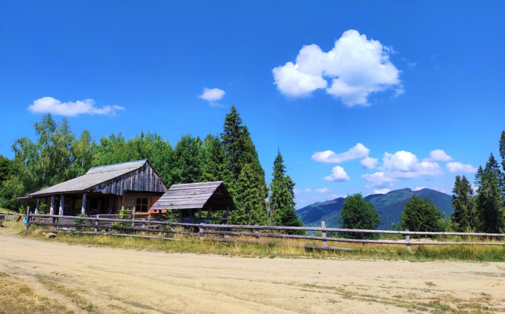 Відновлення сил в Карпатах: найкращі пішохідні маршрути у Славському 10 Колиба на вершині Погару / фото Марина Григоренко