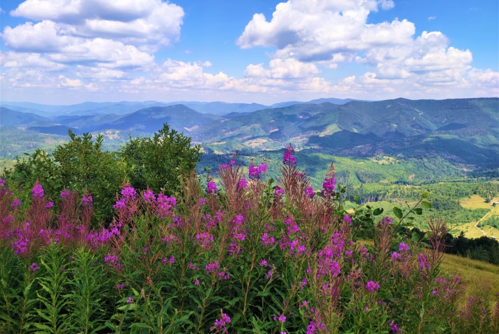 Відновлення сил в Карпатах: найкращі пішохідні маршрути у Славському 18 На похід на Високий Верх варто виділити цілий день / фото Марина Григоренко