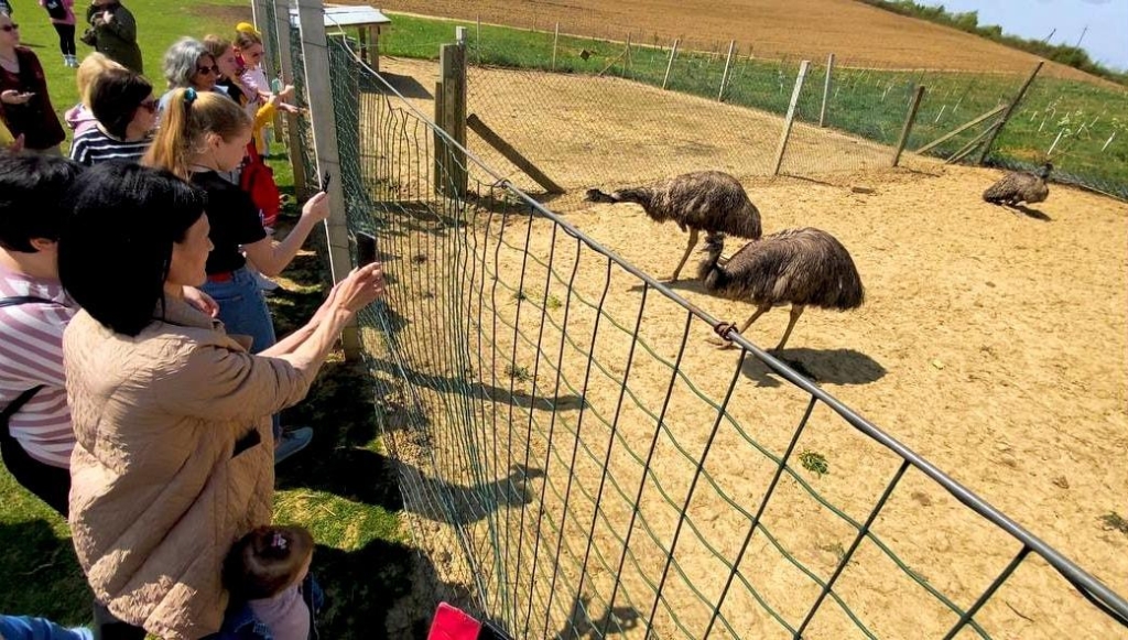 Відпочинок під час війни: що пропонують туристам на Закарпатті 3 Очікувати на наплив туристів, кажуть фахівці, однозначно не варто. / фото Макс Адаменко