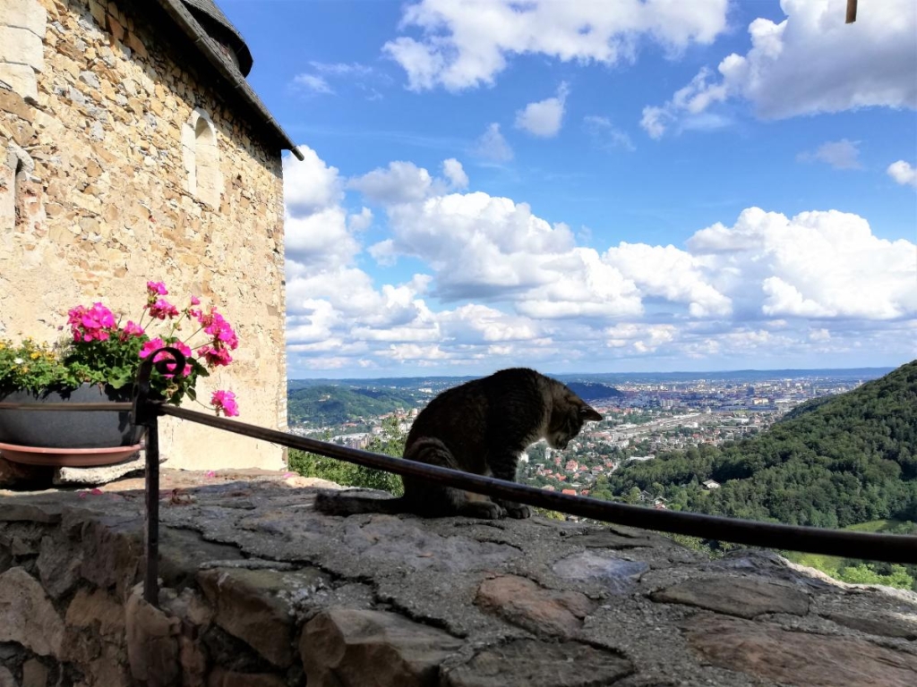 Відпочинок в Австрії: все, що потрібно знати туристам (фоторепортаж) 19 Грац – дуже зелене місто / фото Марина Григоренко