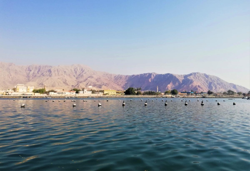 Відпочинок в ОАЕ: все, що потрібно знати туристам (фоторепортаж) 17 На кораблику Перською затокою / фото Марина Григоренко