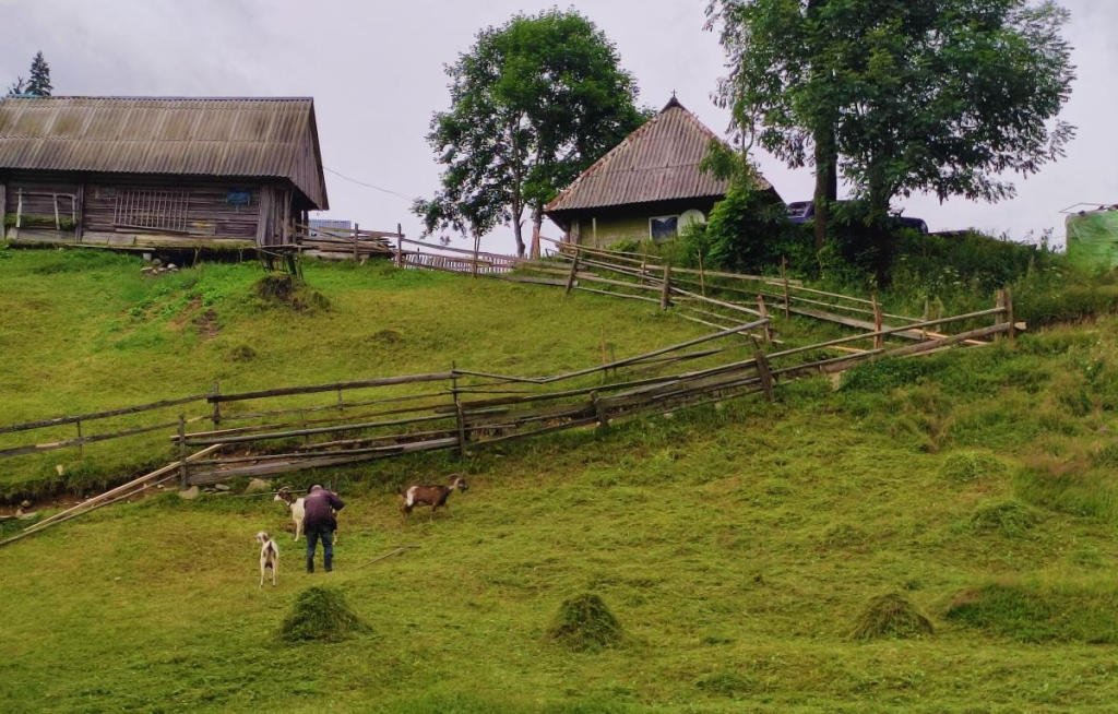 Відпустка в Закарпатті машиною: досліджуємо Україну вздовж траси Київ-Чоп 34 Типова карпатська картинка за вікном / фото Марина Григоренко