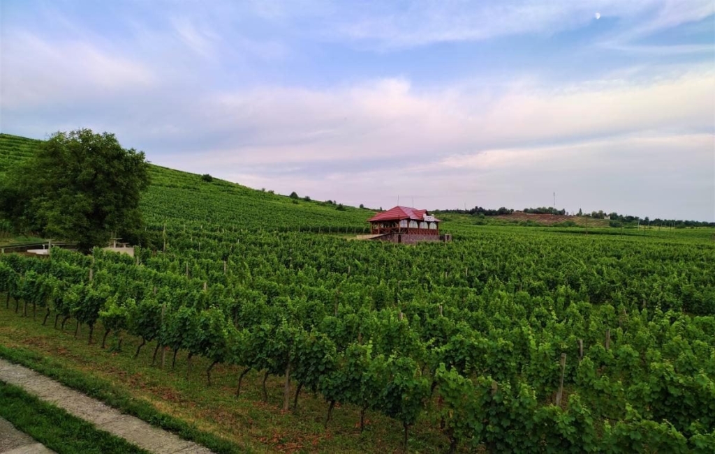 Відпустка в Закарпатті машиною: досліджуємо Україну вздовж траси Київ-Чоп 45 Відпустка в Закарпатті машиною: досліджуємо Україну вздовж траси Київ-Чоп