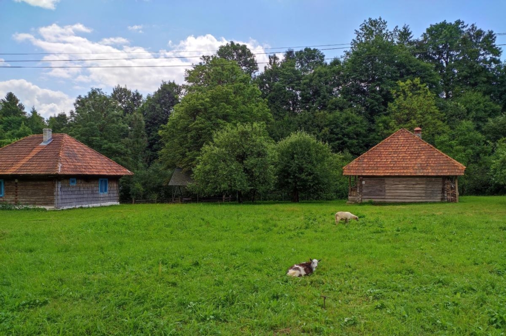 Відпустка в Закарпатті машиною: досліджуємо Україну вздовж траси Київ-Чоп 46 У Пилипці ідеально відпочивати від міського галасу / фото Марина Григоренко