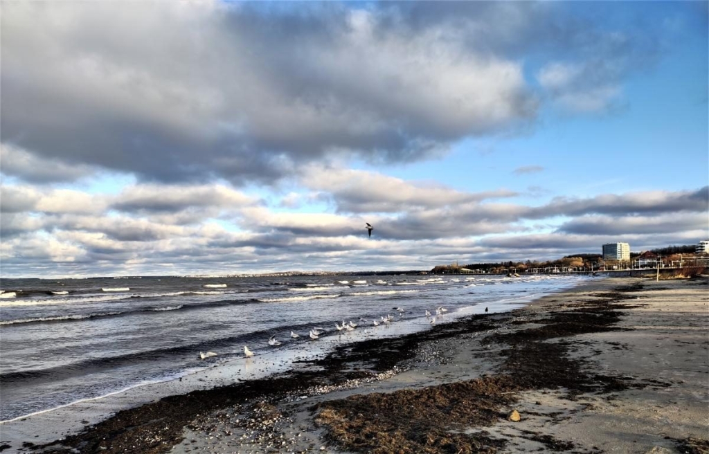 Вікенд в Таллінні: що подивитися і як зігрітися в затишній естонській столиці 82 Вікенд в Таллінні: що подивитися і як зігрітися в затишній естонській столиці