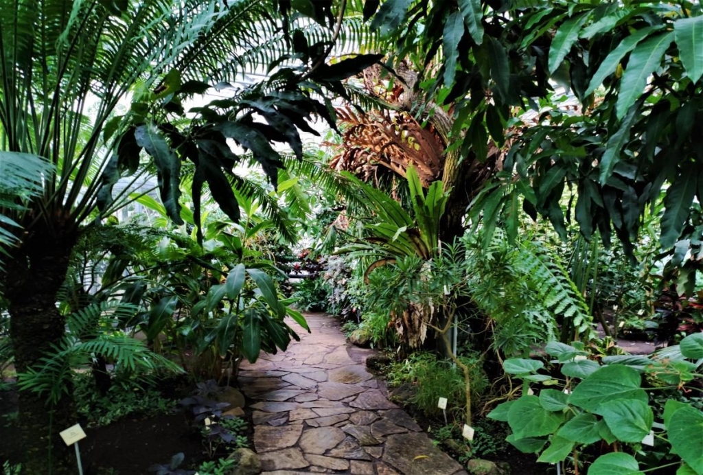 Вікенд в Таллінні: що подивитися і як зігрітися в затишній естонській столиці 107 Вікенд в Таллінні: що подивитися і як зігрітися в затишній естонській столиці