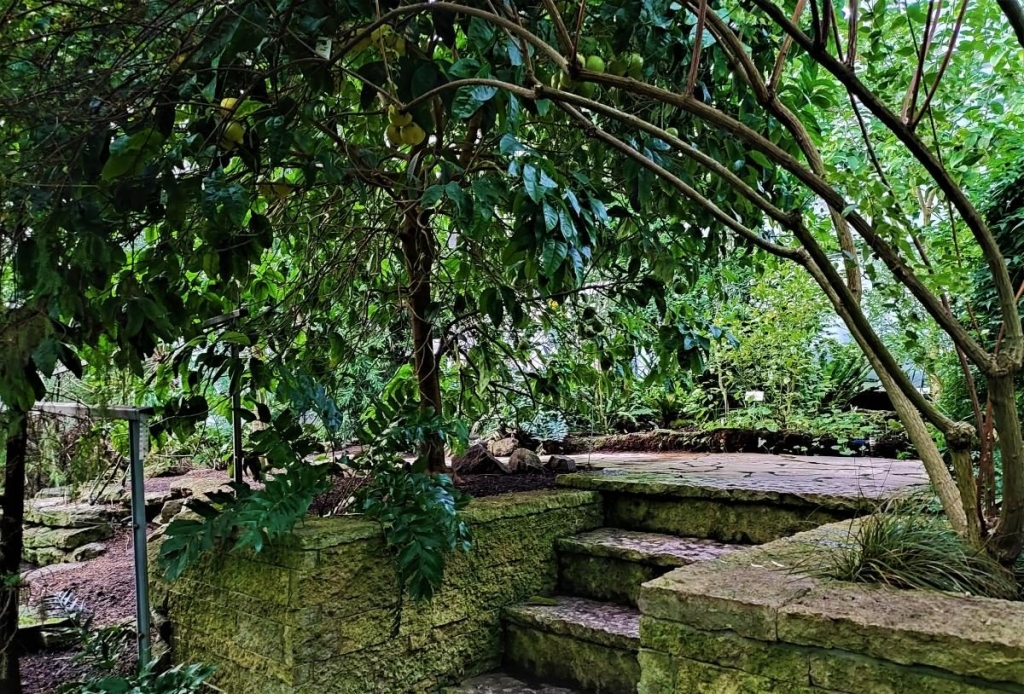 Вікенд в Таллінні: що подивитися і як зігрітися в затишній естонській столиці 120 Вікенд в Таллінні: що подивитися і як зігрітися в затишній естонській столиці