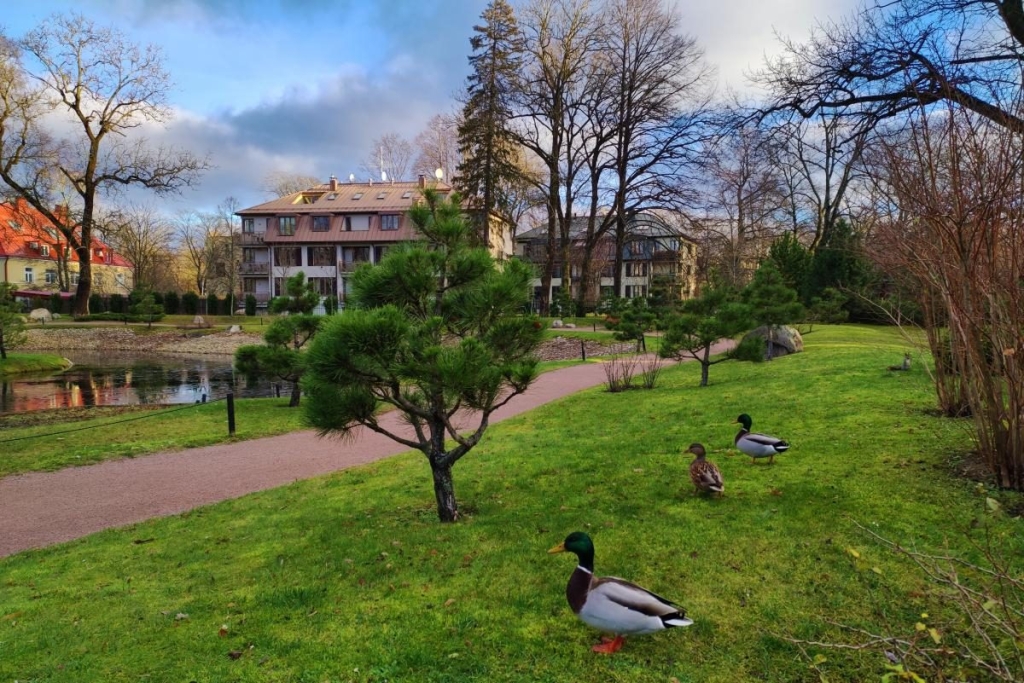 Вікенд в Таллінні: що подивитися і як зігрітися в затишній естонській столиці 75 Вікенд в Таллінні: що подивитися і як зігрітися в затишній естонській столиці