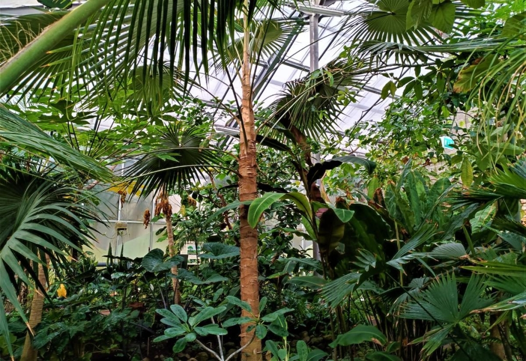 Вікенд в Таллінні: що подивитися і як зігрітися в затишній естонській столиці 109 Вікенд в Таллінні: що подивитися і як зігрітися в затишній естонській столиці