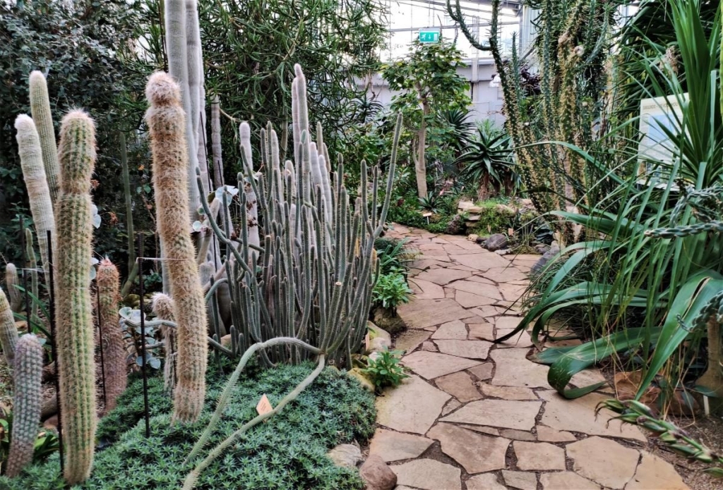 Вікенд в Таллінні: що подивитися і як зігрітися в затишній естонській столиці 115 Вікенд в Таллінні: що подивитися і як зігрітися в затишній естонській столиці