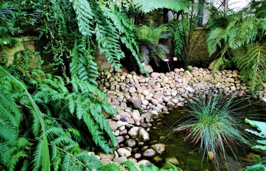 Вікенд в Таллінні: що подивитися і як зігрітися в затишній естонській столиці 117 Вікенд в Таллінні: що подивитися і як зігрітися в затишній естонській столиці