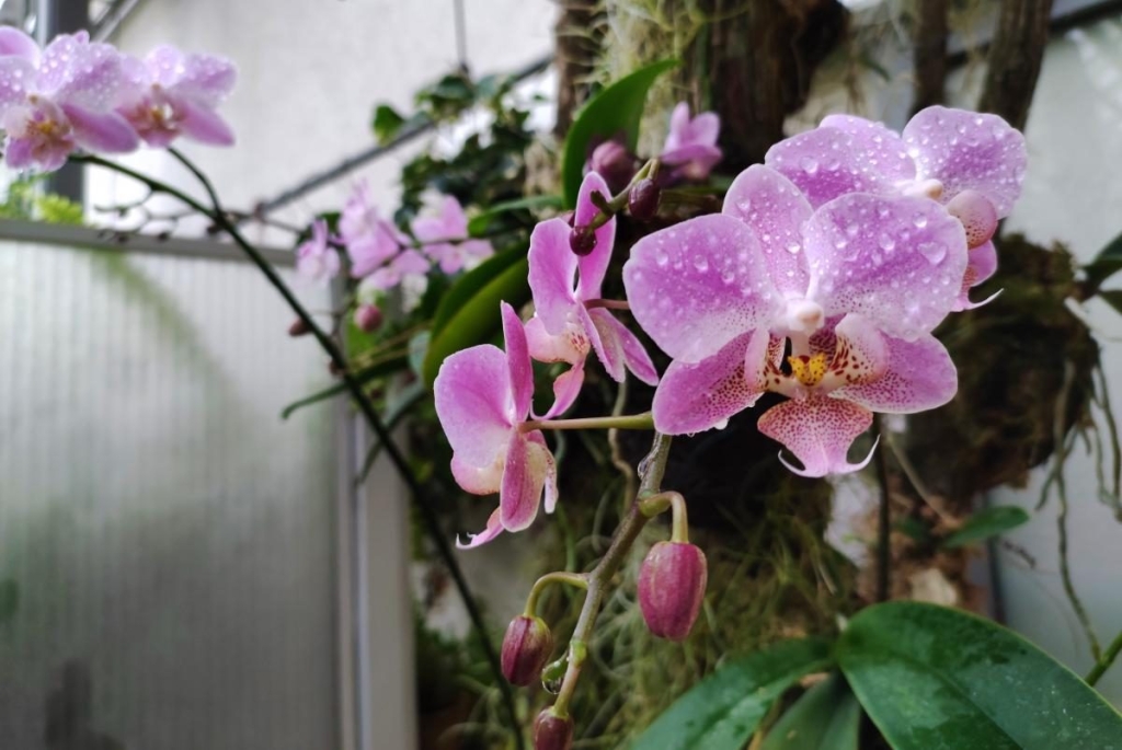 Вікенд в Таллінні: що подивитися і як зігрітися в затишній естонській столиці 116 Вікенд в Таллінні: що подивитися і як зігрітися в затишній естонській столиці