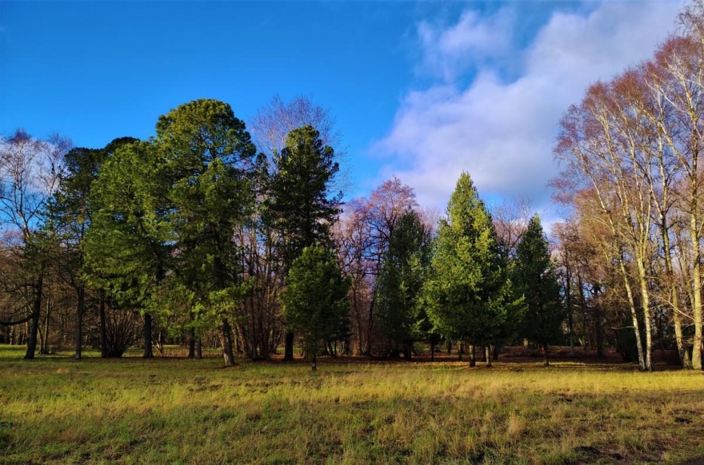 Вікенд в Таллінні: що подивитися і як зігрітися в затишній естонській столиці 74 Вікенд в Таллінні: що подивитися і як зігрітися в затишній естонській столиці