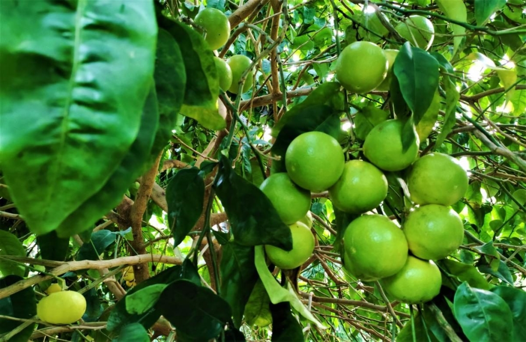 Вікенд в Таллінні: що подивитися і як зігрітися в затишній естонській столиці 121 Вікенд в Таллінні: що подивитися і як зігрітися в затишній естонській столиці