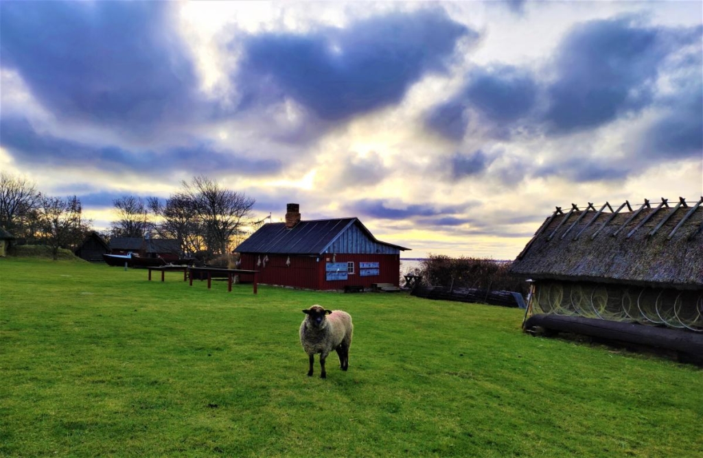 Вікенд в Таллінні: що подивитися і як зігрітися в затишній естонській столиці 4 Взимку в Таллінні дуже короткий світловий день / фото Марина Григоренко