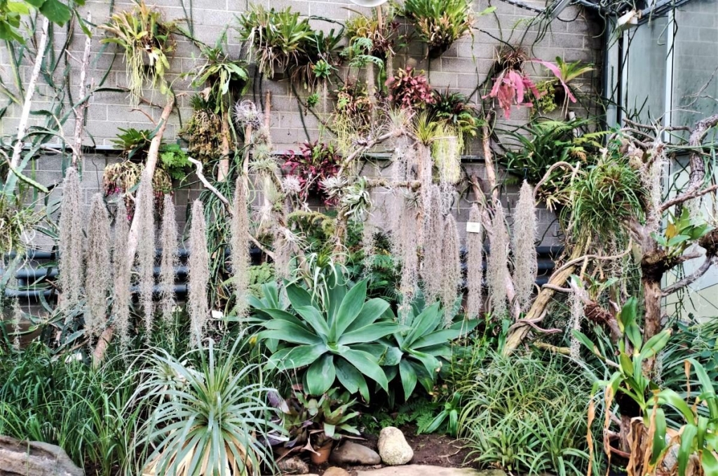 Вікенд в Таллінні: що подивитися і як зігрітися в затишній естонській столиці 114 Вікенд в Таллінні: що подивитися і як зігрітися в затишній естонській столиці