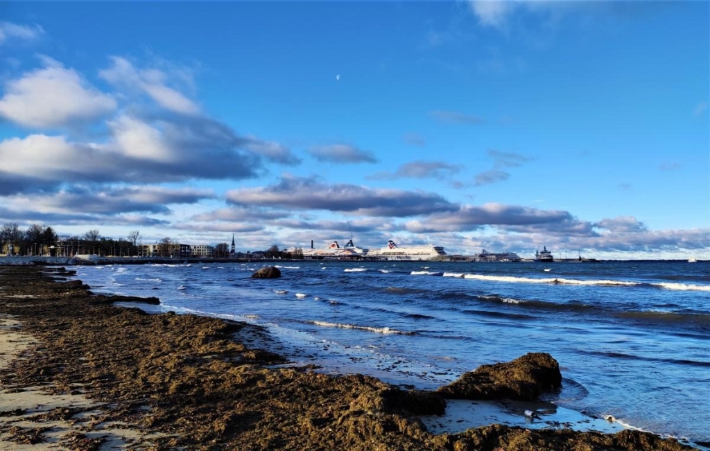 Вікенд в Таллінні: що подивитися і як зігрітися в затишній естонській столиці 81 Вікенд в Таллінні: що подивитися і як зігрітися в затишній естонській столиці