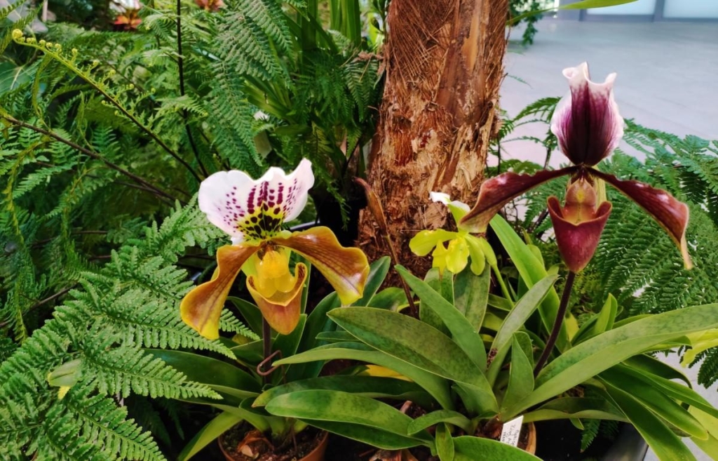 Вікенд в Таллінні: що подивитися і як зігрітися в затишній естонській столиці 122 Вікенд в Таллінні: що подивитися і як зігрітися в затишній естонській столиці