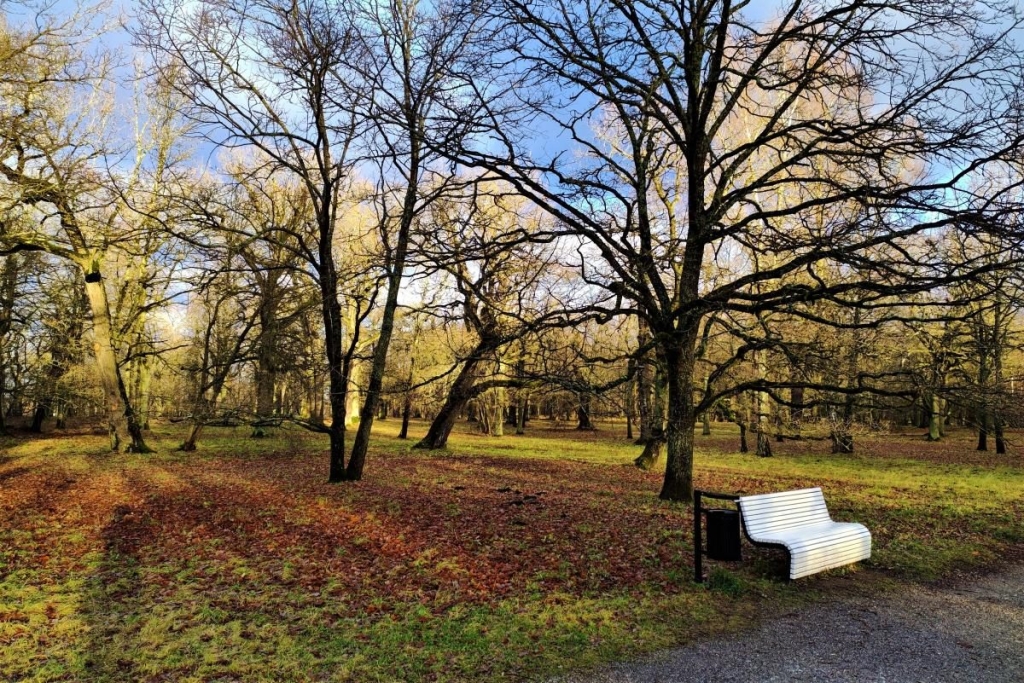 Вікенд в Таллінні: що подивитися і як зігрітися в затишній естонській столиці 68 Вікенд в Таллінні: що подивитися і як зігрітися в затишній естонській столиці