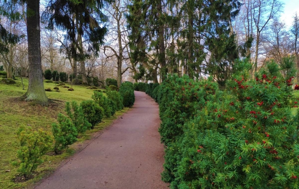 Вікенд в Таллінні: що подивитися і як зігрітися в затишній естонській столиці 79 Вікенд в Таллінні: що подивитися і як зігрітися в затишній естонській столиці