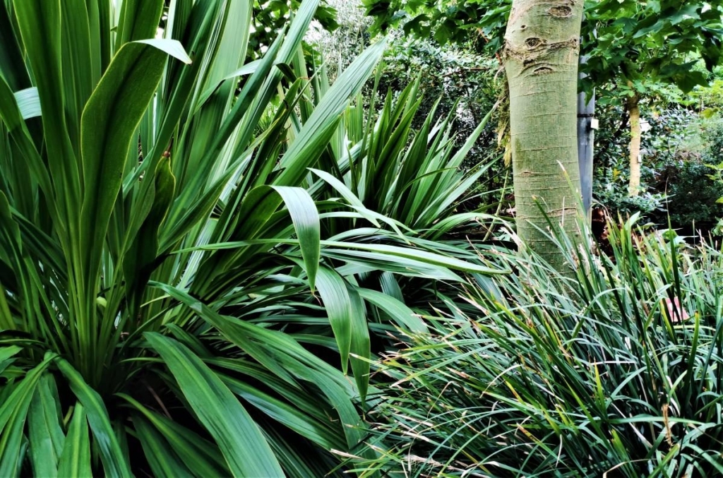 Вікенд в Таллінні: що подивитися і як зігрітися в затишній естонській столиці 118 Вікенд в Таллінні: що подивитися і як зігрітися в затишній естонській столиці