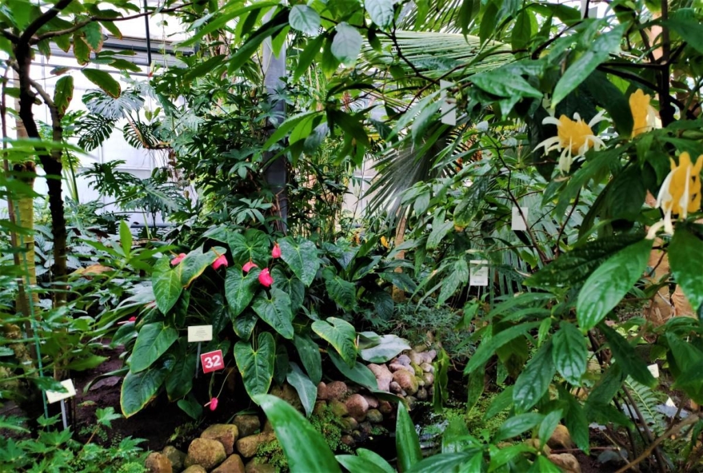 Вікенд в Таллінні: що подивитися і як зігрітися в затишній естонській столиці 108 Вікенд в Таллінні: що подивитися і як зігрітися в затишній естонській столиці