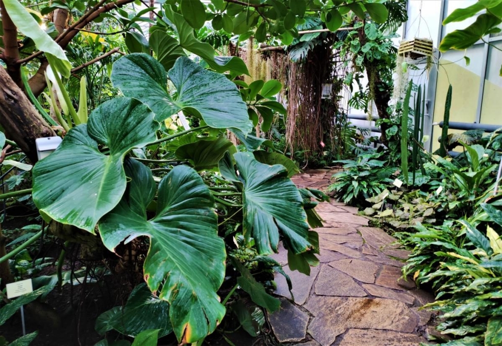 Вікенд в Таллінні: що подивитися і як зігрітися в затишній естонській столиці 111 Вікенд в Таллінні: що подивитися і як зігрітися в затишній естонській столиці