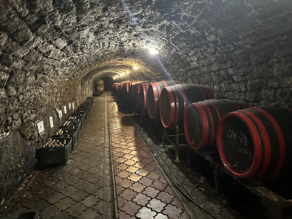 Виноградне Закарпаття: де можна насолодитися унікальними винами (18+) 10 Підвали виноробні Nota bene / фото Наталія Петерварі