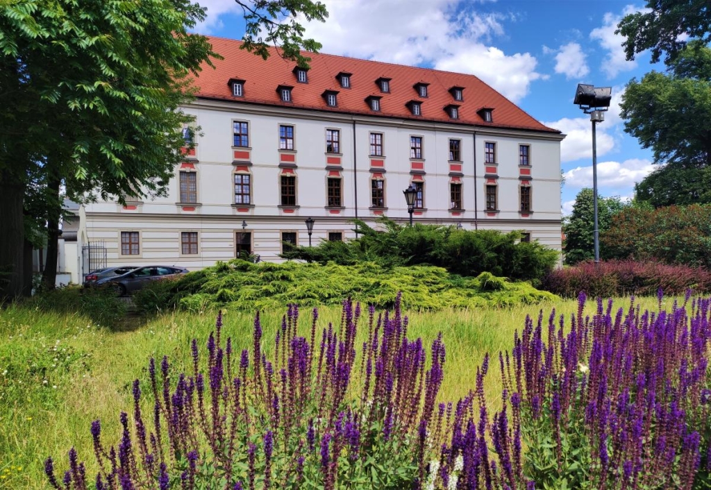 Вроцлав: суміш тисячолітньої історії та молодіжного вайбу 5 Вроцлав – важливий культурний центр / фото Марина Григоренко