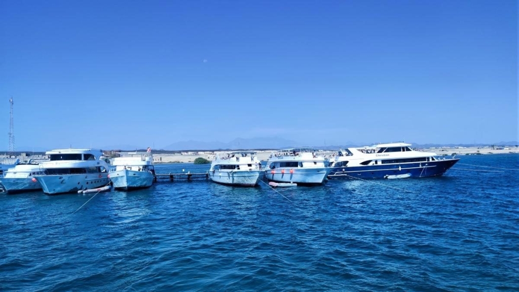 Єгипет влітку? Та ще й без росіян? Тоді вам в Марса-Алам! 81 Єгипет влітку? Та ще й без росіян? Тоді вам в Марса-Алам!