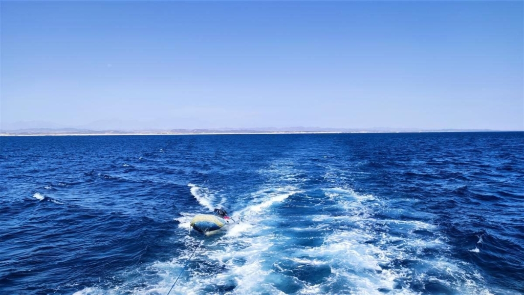 Єгипет влітку? Та ще й без росіян? Тоді вам в Марса-Алам! 82 Єгипет влітку? Та ще й без росіян? Тоді вам в Марса-Алам!