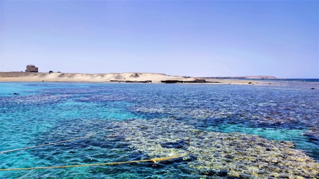 Єгипет влітку? Та ще й без росіян? Тоді вам в Марса-Алам! 79 Єгипет влітку? Та ще й без росіян? Тоді вам в Марса-Алам!