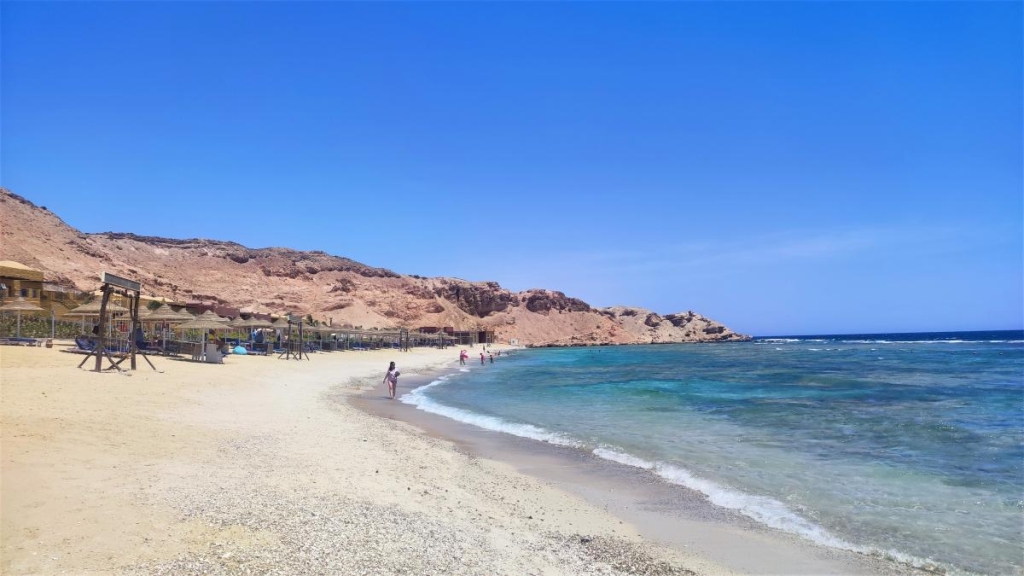 Єгипет влітку? Та ще й без росіян? Тоді вам в Марса-Алам! 117 В жодному разі не беріть мушлі з єгипетських пляжів / фото Марина Григоренко