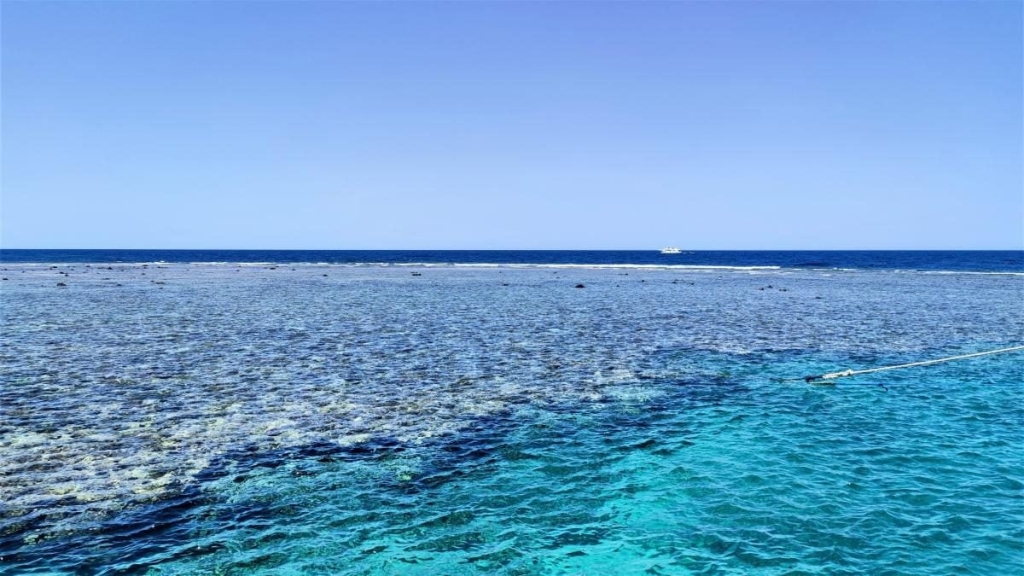 Єгипет влітку? Та ще й без росіян? Тоді вам в Марса-Алам! 80 Єгипет влітку? Та ще й без росіян? Тоді вам в Марса-Алам!