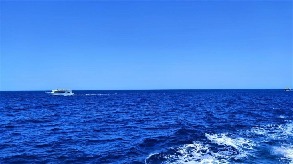 Єгипет влітку? Та ще й без росіян? Тоді вам в Марса-Алам! 88 Єгипет влітку? Та ще й без росіян? Тоді вам в Марса-Алам!