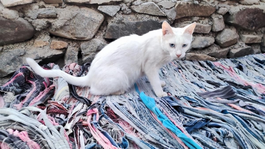 Єгипет влітку? Та ще й без росіян? Тоді вам в Марса-Алам! 109 Єгипет влітку? Та ще й без росіян? Тоді вам в Марса-Алам!