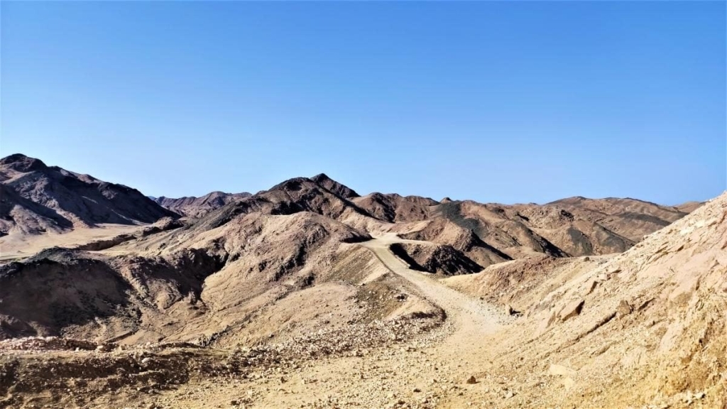 Єгипет влітку? Та ще й без росіян? Тоді вам в Марса-Алам! 99 Єгипет влітку? Та ще й без росіян? Тоді вам в Марса-Алам!