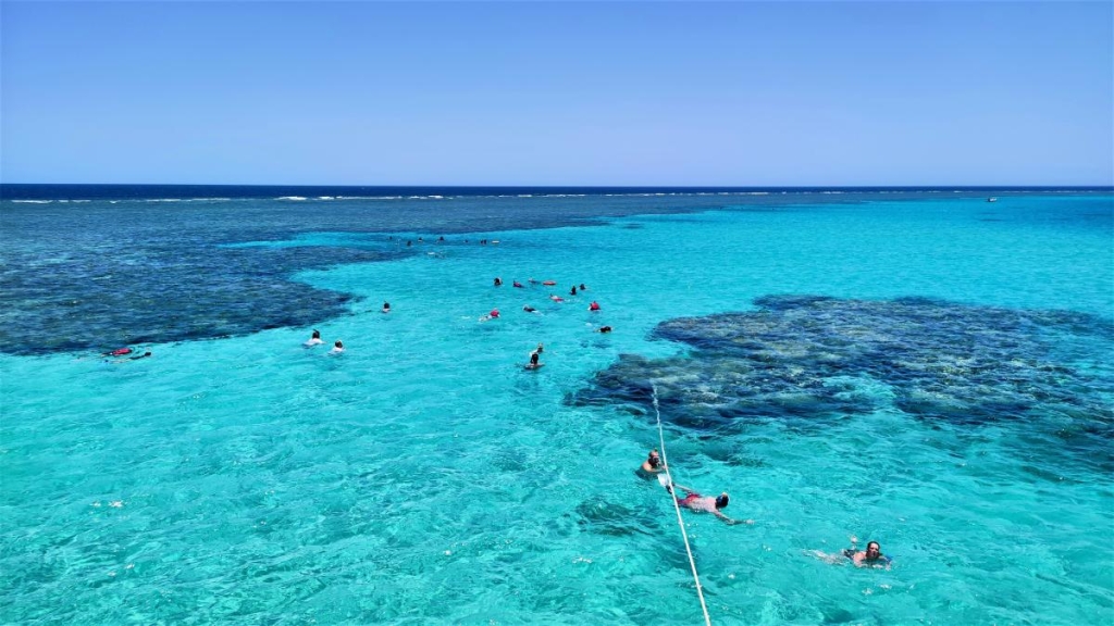 Єгипет влітку? Та ще й без росіян? Тоді вам в Марса-Алам! 92 Сноркелінг в Червоному морі / фото Марина Григоренко