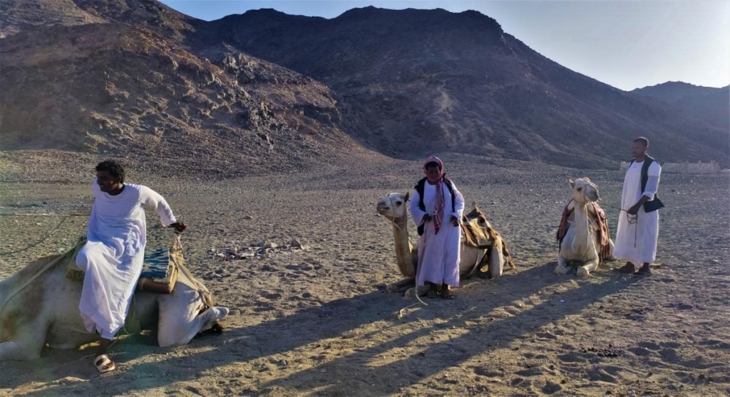 Єгипет влітку? Та ще й без росіян? Тоді вам в Марса-Алам! 103 Єгипет влітку? Та ще й без росіян? Тоді вам в Марса-Алам!