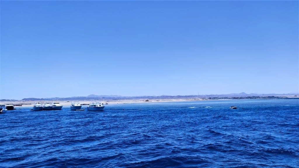 Єгипет влітку? Та ще й без росіян? Тоді вам в Марса-Алам! 77 Єгипет влітку? Та ще й без росіян? Тоді вам в Марса-Алам!