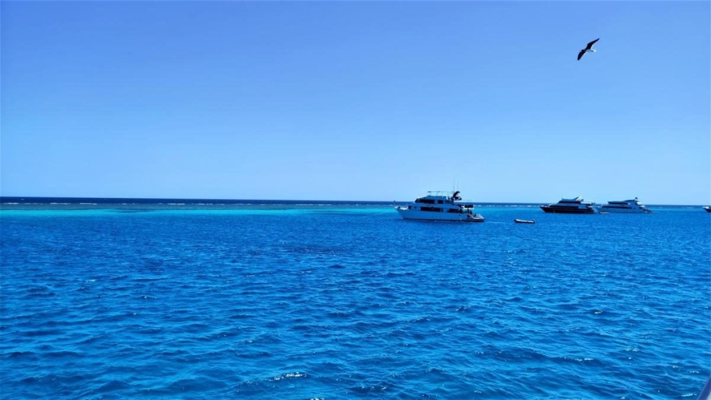 Єгипет влітку? Та ще й без росіян? Тоді вам в Марса-Алам! 84 Єгипет влітку? Та ще й без росіян? Тоді вам в Марса-Алам!