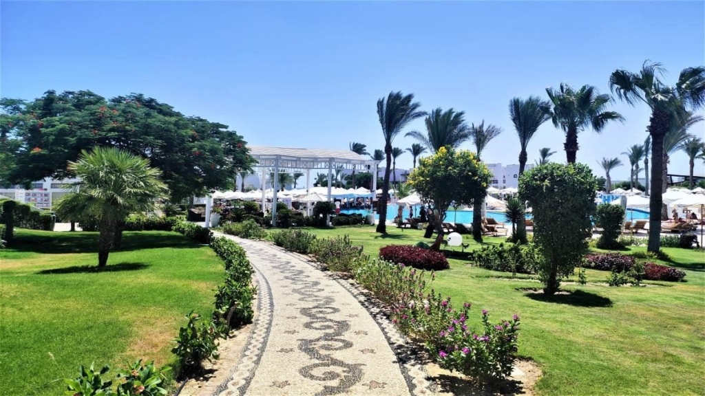 Єгипет влітку? Та ще й без росіян? Тоді вам в Марса-Алам! 10 Єгипет влітку? Та ще й без росіян? Тоді вам в Марса-Алам!