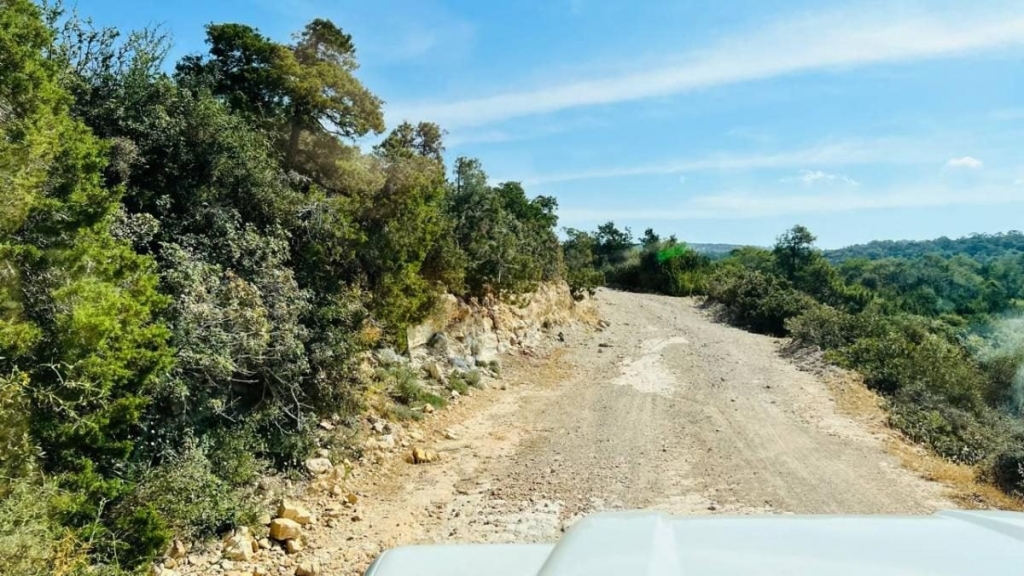 Їсти, молитися, пити. Кіпр – острів сили, обжерливості, молитов і задоволень 90 Їсти, молитися, пити. Кіпр – острів сили, обжерливості, молитов і задоволень