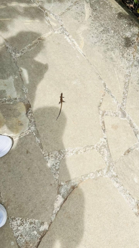 Їсти, молитися, пити. Кіпр – острів сили, обжерливості, молитов і задоволень 81 Їсти, молитися, пити. Кіпр – острів сили, обжерливості, молитов і задоволень