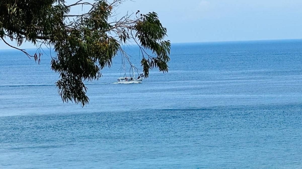 Їсти, молитися, пити. Кіпр – острів сили, обжерливості, молитов і задоволень 104 Їсти, молитися, пити. Кіпр – острів сили, обжерливості, молитов і задоволень