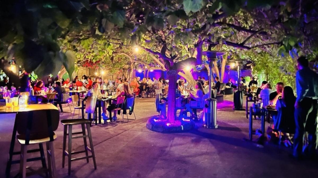 Їсти, молитися, пити. Кіпр – острів сили, обжерливості, молитов і задоволень 202 Їсти, молитися, пити. Кіпр – острів сили, обжерливості, молитов і задоволень